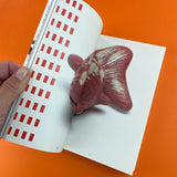 Kingyo: The Graphics of Japanese Goldfish