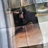 D&AD New Blood: Sorry old blood, the new blood has arrived [Poster] Roger Kennedy