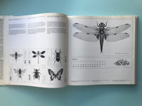 Graphic Design International - Igildo G. Biesele
