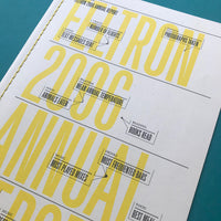 Feltron 2006 Annual Report (SIGNED)