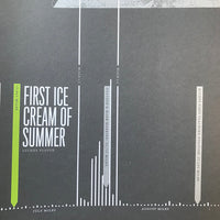 Feltron 2008 Annual Report (SIGNED)