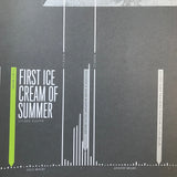 Feltron 2008 Annual Report (SIGNED)