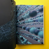 Dixon Baxi (Monograph)