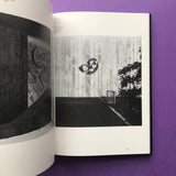 His Work, Quest and Philosophy (Armin Hofmann)