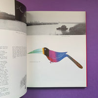 Design as Art (Bruno Munari)