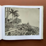 SURF SITE TIN TYPE (Joni Sternbach)