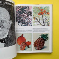 Graphis Annual 86/87 (Walter Herdeg)