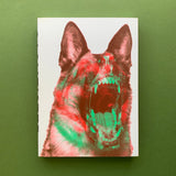 Sagmeister: Made You Look