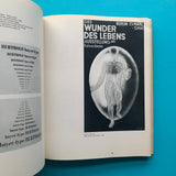 Herbert Bayer: Visual Communication, Architecture, Painting